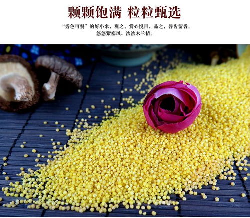 方順 木蘭貢米禮盒600g 3一級(jí)小米新米五谷雜糧河北承德特產(chǎn)