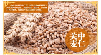 陜北糧倉(cāng)的寶藏 五谷雜糧里的記憶與味蕾盛宴